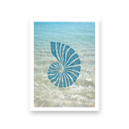 Saltwater Shell - Card (Blue)