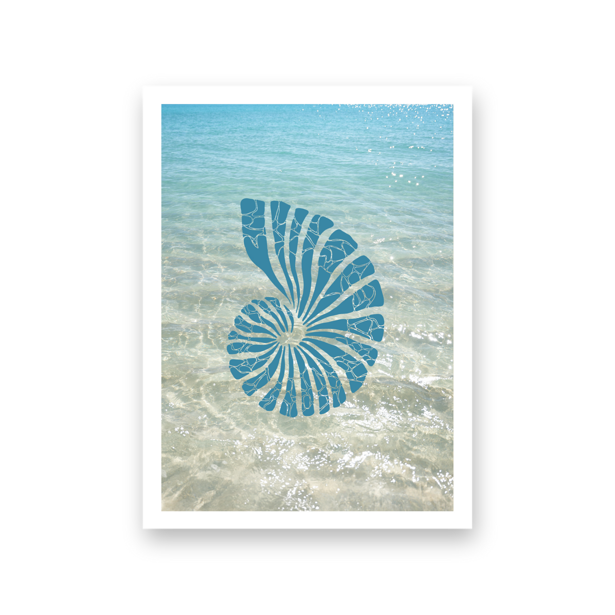Saltwater Shell - Card (Blue)