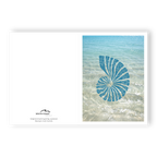 Saltwater Shell - Card (Blue)