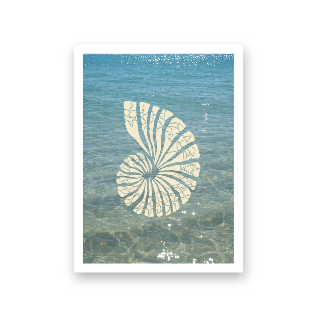 Saltwater Shell - Card (Butter Yellow)