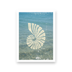 Saltwater Shell - Card (Butter Yellow)