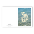 Saltwater Shell - Card (Butter Yellow)