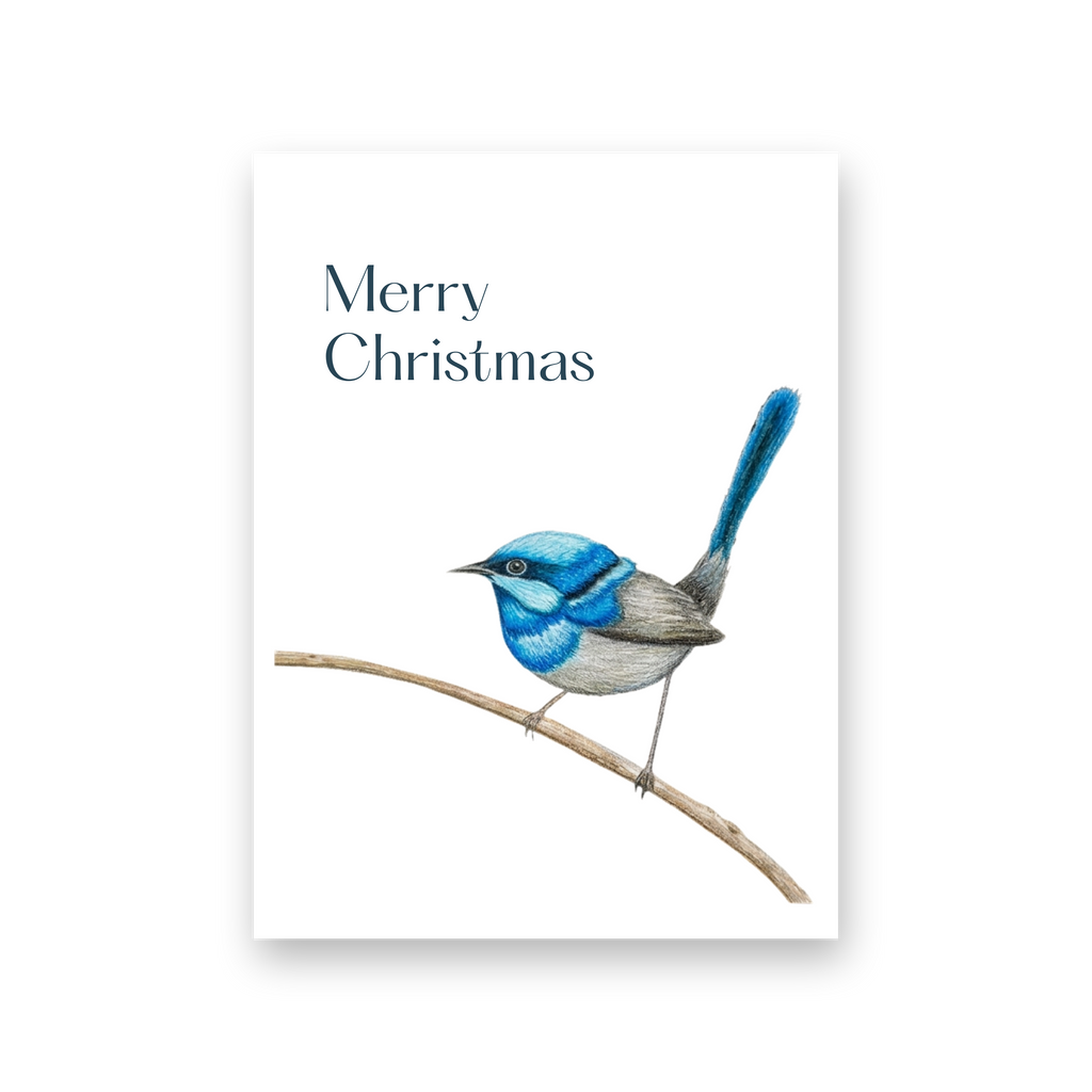 Blue Wren Christmas - Card