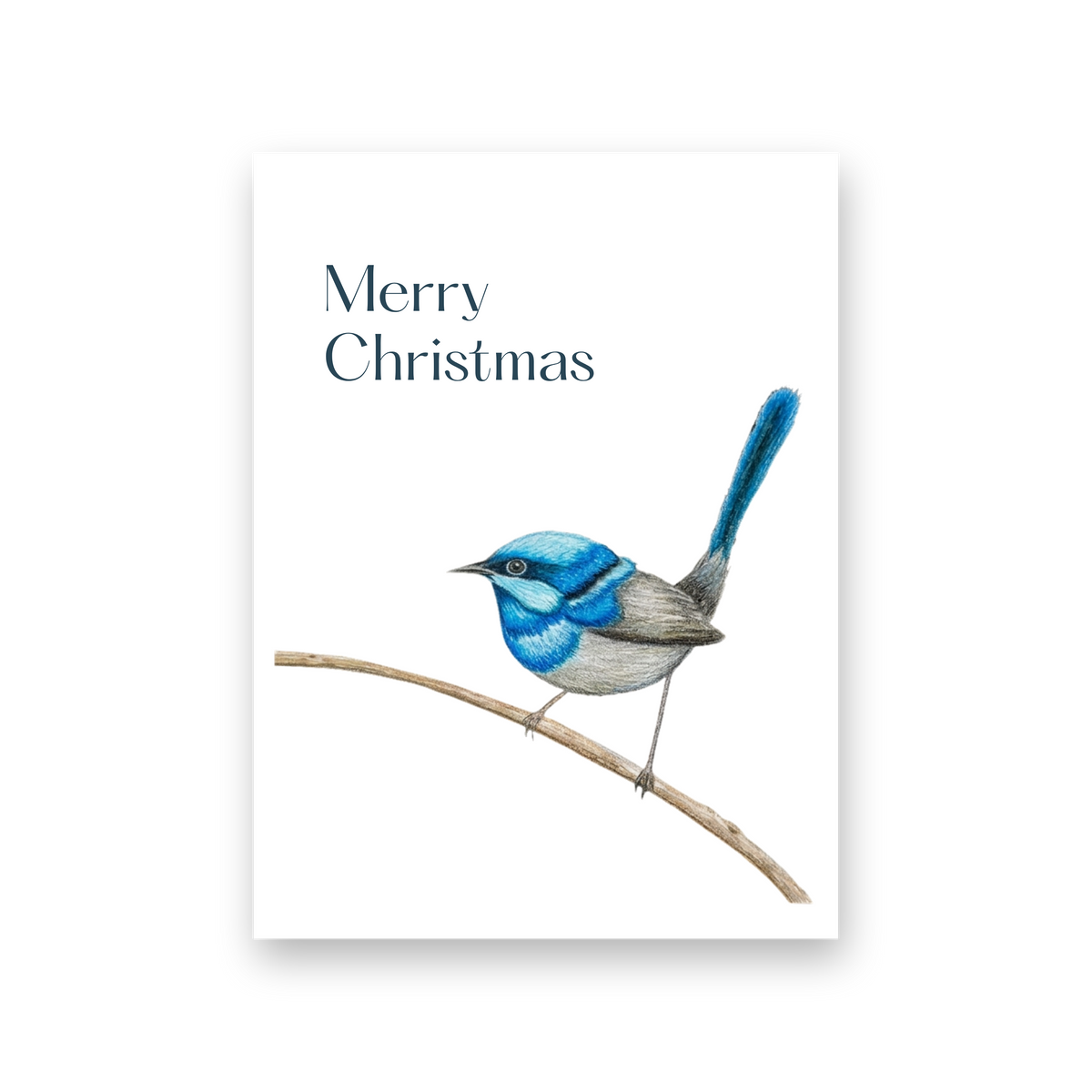 Blue Wren Christmas - Card